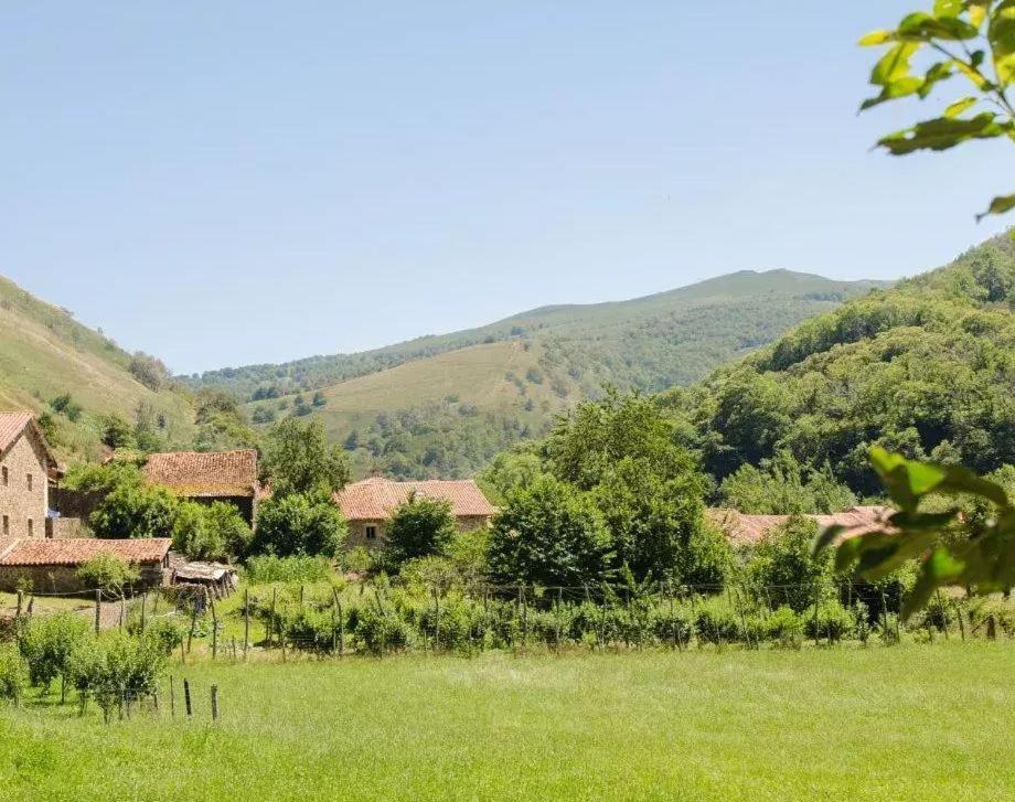 Вилла Casa Robles 3000 Сель-де-ла-Каррера Экстерьер фото